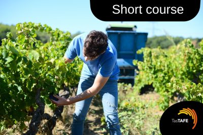 Viticuture social media graphic