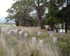 Boost for Tasmanian land owners