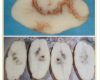 Tasmanian sites now linked to Potato virus grows