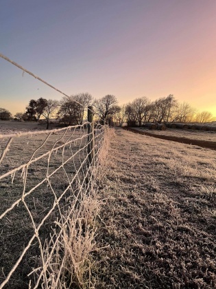 ANU TERN environment image