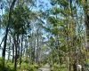 Native Forestry: A Sustainable Future for Tasmanian Farmers