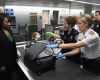 Tasmania's Biosecurity Strengthened  with New Investment, Says TFGA