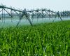 Double time on Northern Midlands Irrigation Scheme milestones